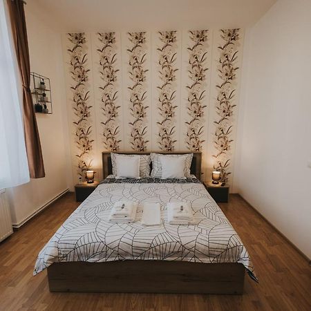 Gavri'S Classic Apartment Сибиу Экстерьер фото
