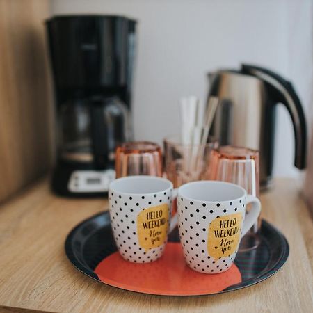 Gavri'S Classic Apartment Сибиу Экстерьер фото